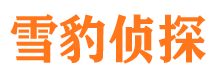 井冈山市调查公司